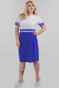 Летнее платье футляр электрика с белым цвета 1-311 No0|интернет-магазин vvlen.com