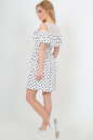 Повседневное платье с пышной юбкой белого с черным цвета 2555.17 No4|интернет-магазин vvlen.com