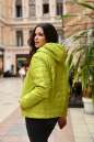 Куртка женская салатового цвета 455 No1|интернет-магазин vvlen.com